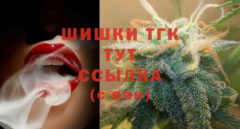 Конопля SATIVA & INDICA  цены наркотик  Кашин 